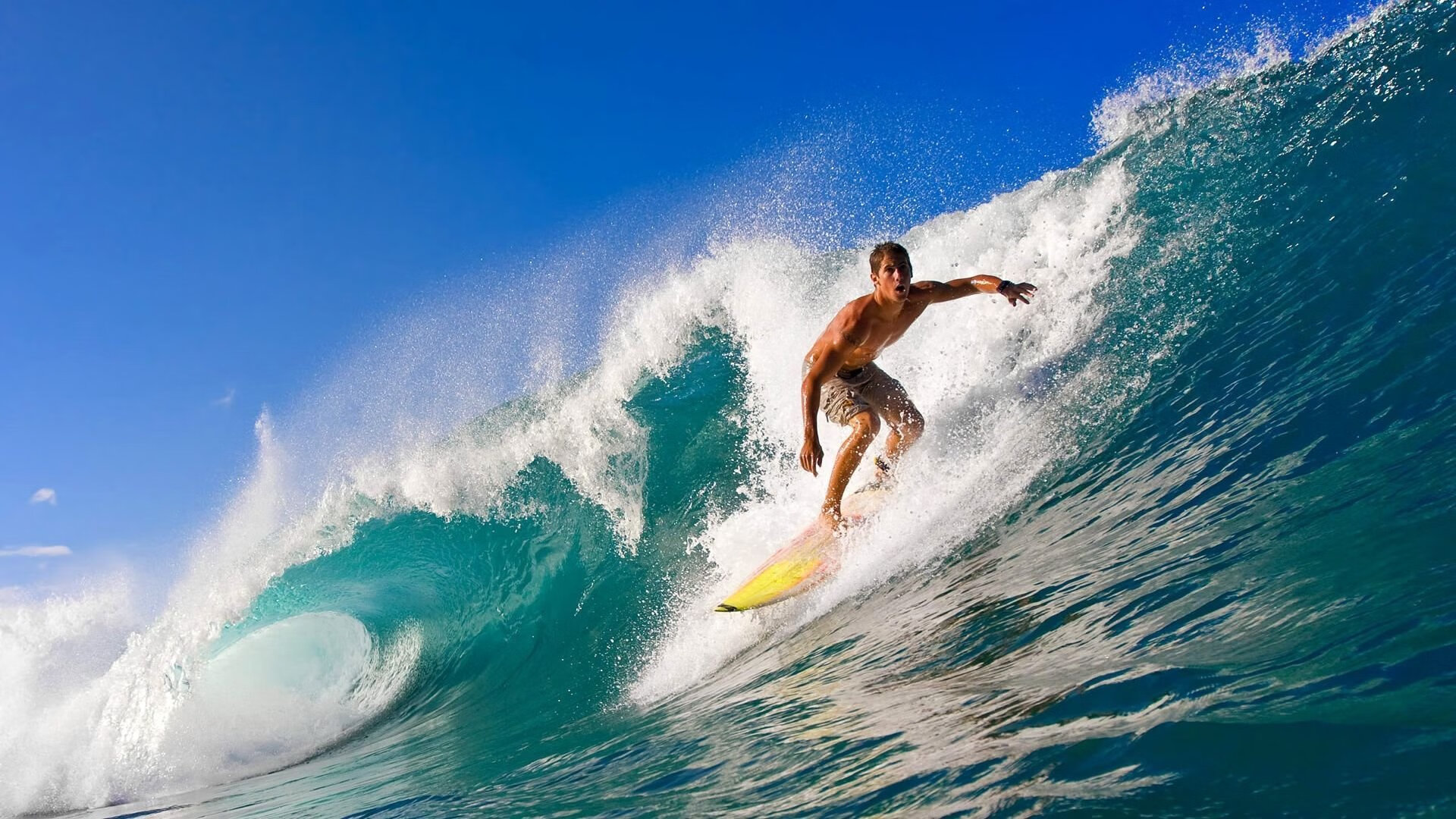 中国香港队赛制透视：如何通过团体配合打破单打局限，香港队伍